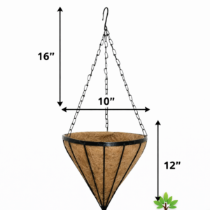 10 " Steel Frame Spike Hanging Basket