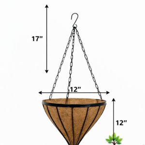 12 " Steel Frame Spike Hanging Basket