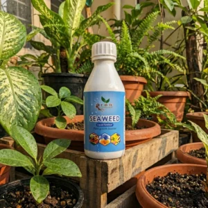 Seaweed Liquid Fertilizer 50 ml