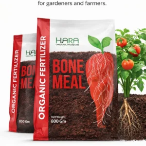 BONE MEAL - 800 g (Organic Fertilizer)